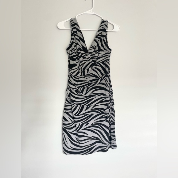 Sweet Storm Zebra Print Ruched V-Neck Dress - Picture 2 of 9